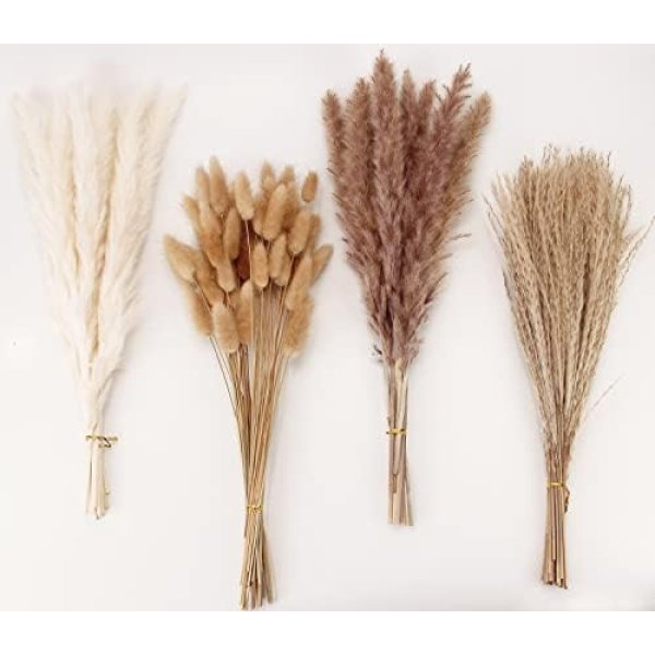 Dried Pampas Grass Decor, 100 PCS Pampas Grass Contains Bunny Tails Dried